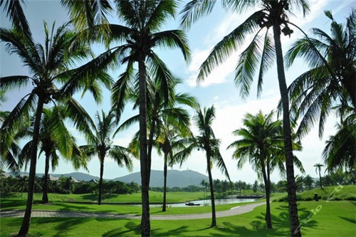 禾你蟹逅芝士蟹煌米粉