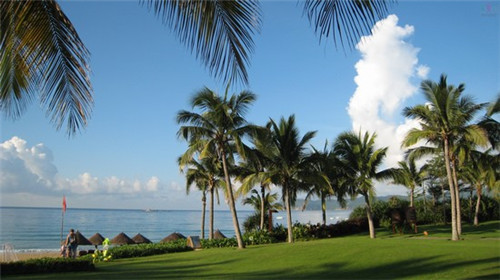 喜鼎海胆水饺加盟在安平县开店前景怎么样