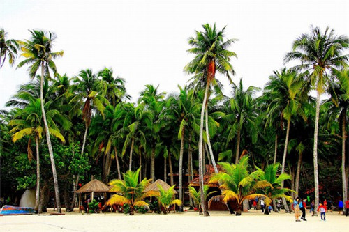 岑巩县除积碳清洗剂加盟创业选择哪些品牌好