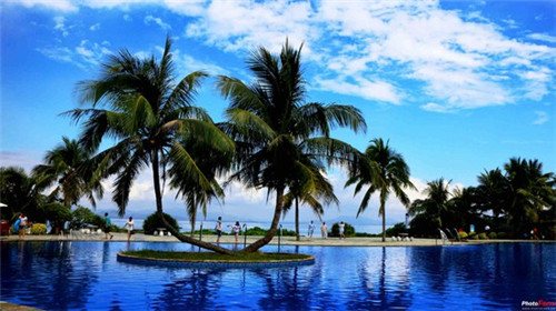 富裕县还能加盟芒甜饮品吗