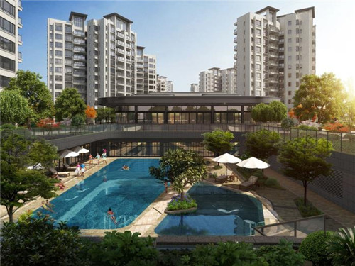 炒花菜炒豆芽怎么炒（炒花菜炒豆芽怎么炒好吃）