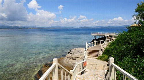 正宗小米辣苗（小米辣的苗长什么样）