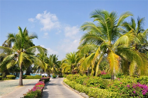 正宗鸭脖 老牌子 正品（十大鸭脖品牌）