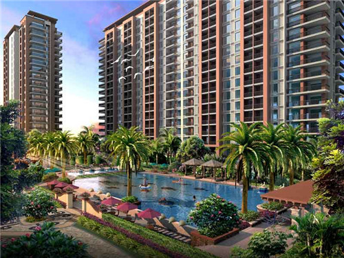 伊布十大未解之谜是什么（伊布介绍）