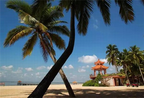 游戏外设加盟创业好项目推荐，游戏外设品牌有哪些